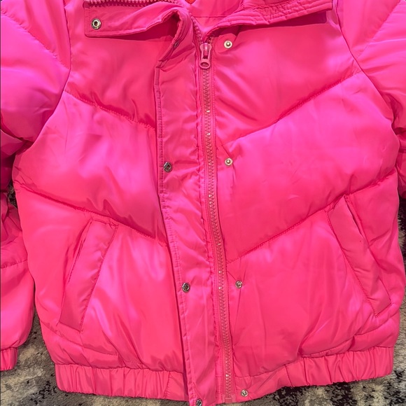 Pink Puffer - Picture 6 of 15